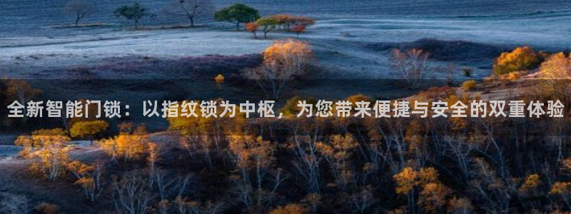 富联娱乐测速：全新智能门锁：以指纹锁为中枢，为您带来便捷与安