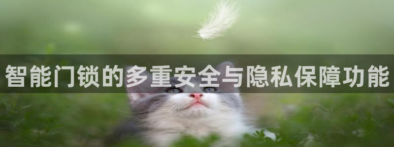 富联娱乐主管做判官333oo：智能门锁的多重安全与隐私保障功