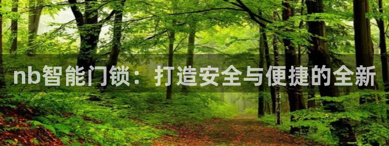富联娱乐真的吗：nb智能门锁：打造安全与便捷的全新