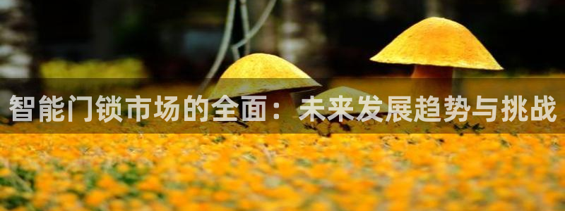富联娱乐注册场判官333OO：智能门锁市场的全面：未来发展趋