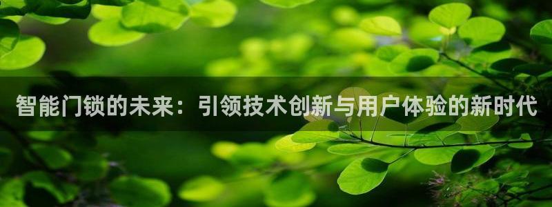 富联娱乐乃67五壹叁八：智能门锁的未来：引领技术创新与用户体