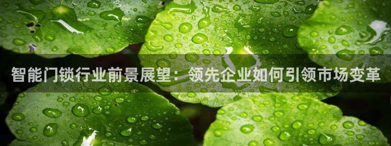 富联娱乐开户流程：智能门锁行业前景展望：领先企业如何引领市场