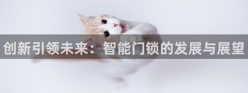 富联娱乐代理怎么样做：创新引领未来：智能门锁的发展与展望