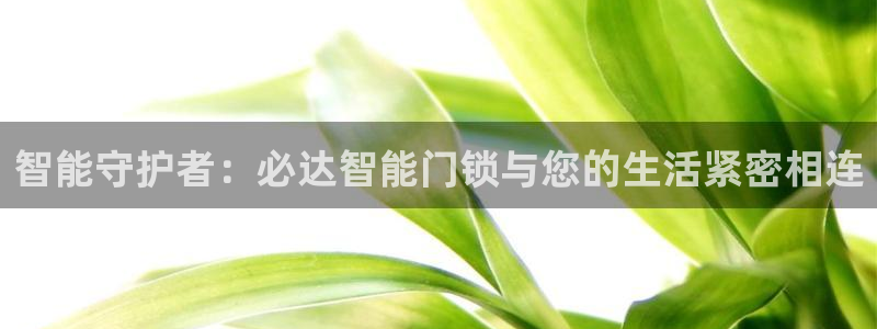 富联娱乐开户条件要求：智能守护者：必达智能门锁与您的生活紧密