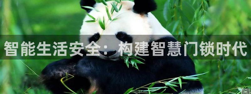 富联娱乐招商电话号码：智能生活安全：构建智慧门锁时代