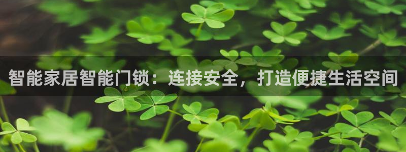 佰富联娱乐团购是正品吗：智能家居智能门锁：连接安全，打造便捷