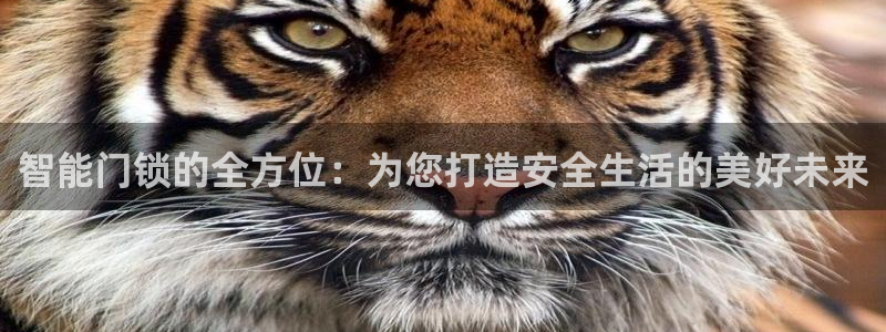 富联娱乐官方网站：智能门锁的全方位：为您打造安全生活的美好未