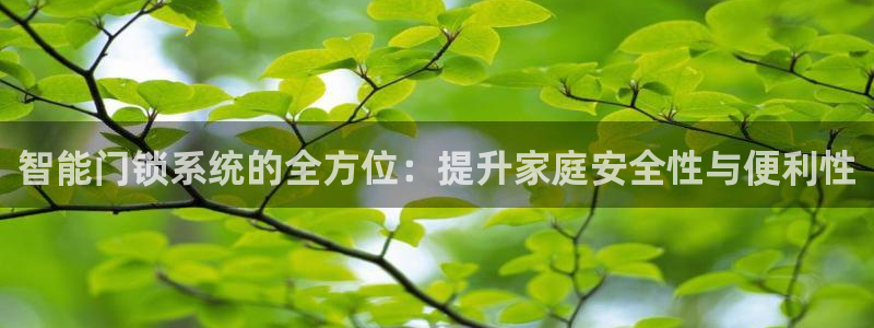 富联娱乐主管鳅天神779O3：智能门锁系统的全方位：提升家庭