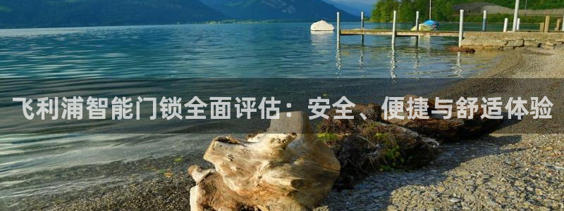 富联娱乐怎么样：飞利浦智能门锁全面评估：安全、便捷与舒适体验