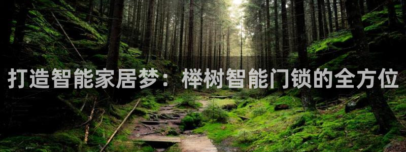 富联娱乐app官方下载最新版：打造智能家居梦：榉树智能门锁的