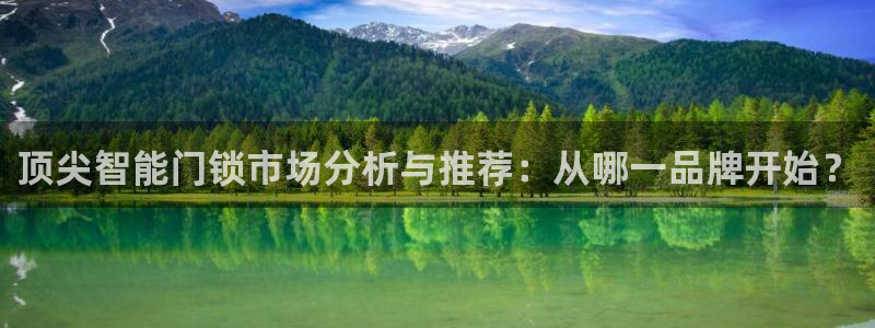 台湾富联娱乐官网：顶尖智能门锁市场分析与推荐：从哪一品牌开始