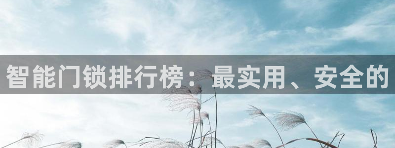 富联娱乐是什么公司电话：智能门锁排行榜：最实用、安全的