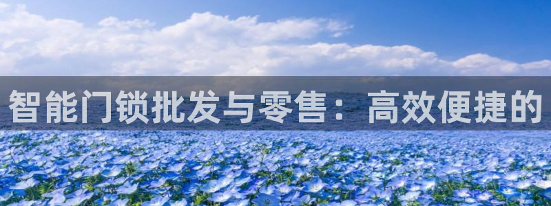 富联娱乐是什么公司的：智能门锁批发与零售：高效便捷的