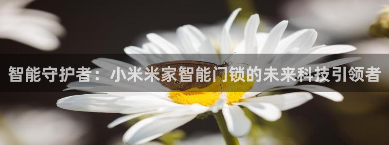 富联娱乐总代理电话地址：智能守护者：小米米家智能门锁的未来科