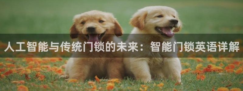 富联2娱乐资讯官网首页：人工智能与传统门锁的未来：智能门锁英