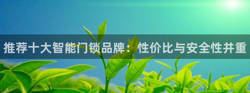 富联2娱乐贴吧官网下载：推荐十大智能门锁品牌：性价比与安全性