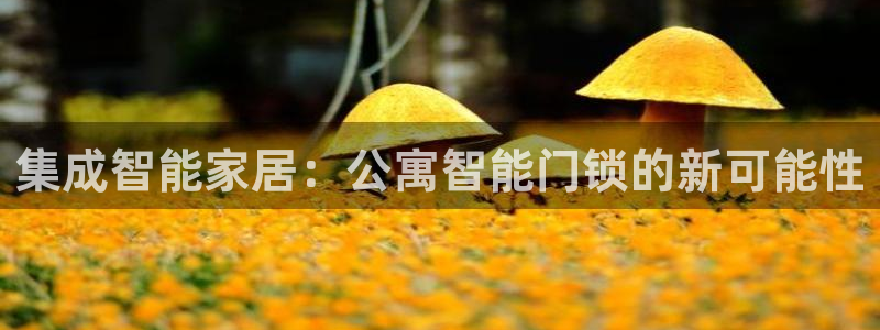 富联娱乐女团排名第几位：集成智能家居：公寓智能门锁的新可能性