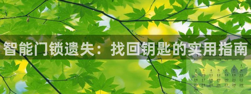 富联娱乐是资金盘吗：智能门锁遗失：找回钥匙的实用指南