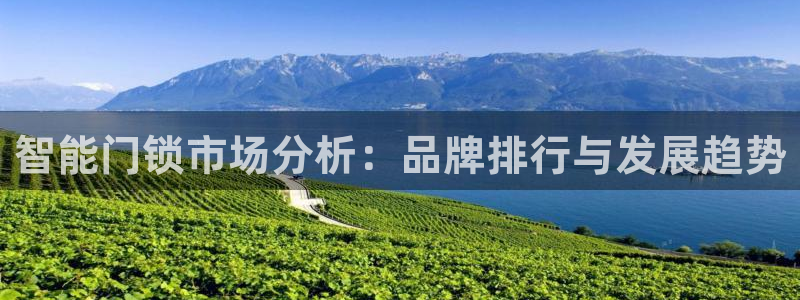 富联娱乐招商陆判官333OO：智能门锁市场分析：品牌排行与发