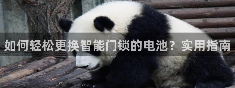 富联娱乐发展历程简介：如何轻松更换智能门锁的电池？实用指南