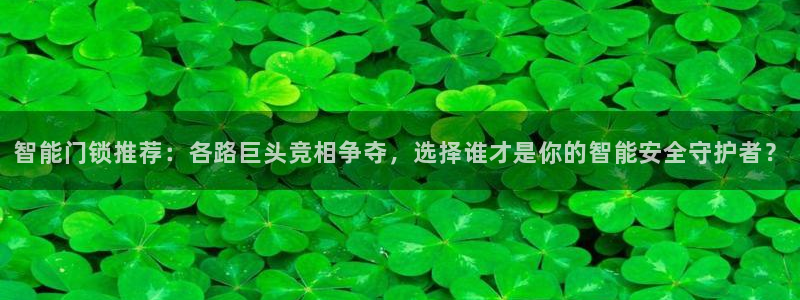 富联娱乐服务公司：智能门锁推荐：各路巨头竞相争夺，选择谁才是