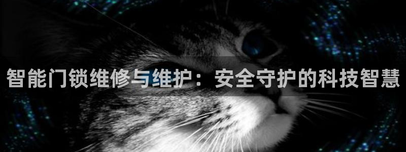 富联娱乐登录链接怎么弄：智能门锁维修与维护：安全守护的科技智