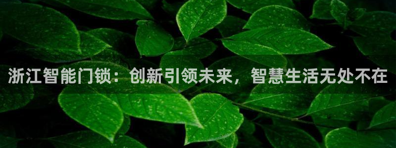 富联娱乐平台官网下载：浙江智能门锁：创新引领未来，智慧生活无