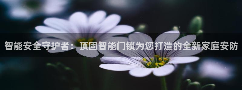 富联娱乐乃67五壹叁八：智能安全守护者：顶固智能门锁为您打造