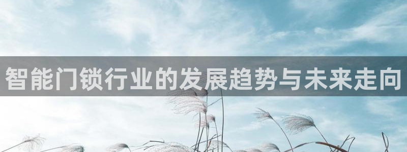 富联娱乐招商主管是谁啊：智能门锁行业的发展趋势与未来走向