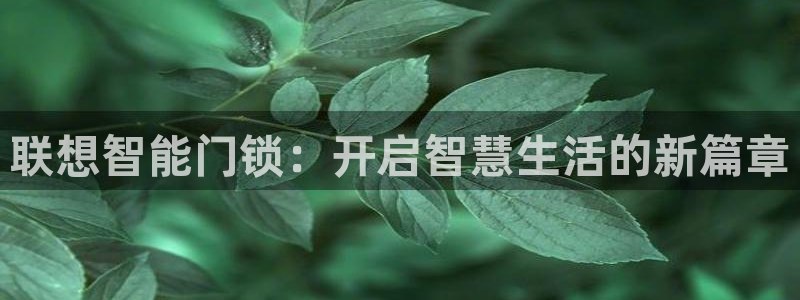 富联娱乐主管施判官333OO：联想智能门锁：开启智慧生活的新