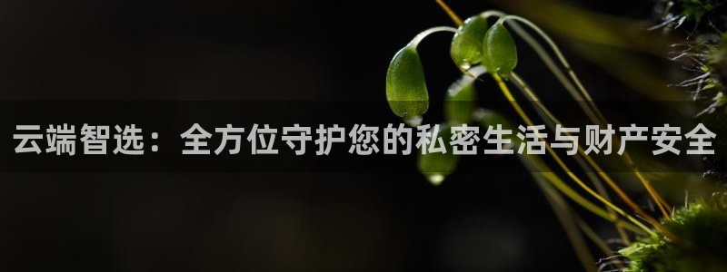 富联娱乐登录地址：云端智选：全方位守护您的私密生活与财产安全