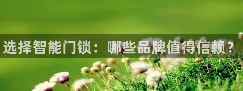 富联娱乐主管吉判官333OO：选择智能门锁：哪些品牌值得信赖
