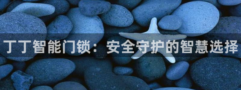 富联娱乐电究7276O：丁丁智能门锁：安全守护的智慧选择