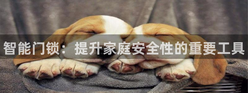 富联娱乐上级：智能门锁：提升家庭安全性的重要工具