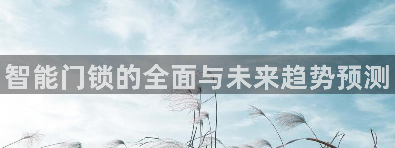 富联娱乐公司简介资料：智能门锁的全面与未来趋势预测