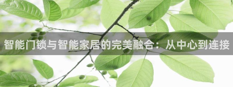 富联娱乐招商经判官333OO：智能门锁与智能家居的完美融合：