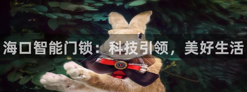富联娱乐平台登录网址：海口智能门锁：科技引领，美好生活