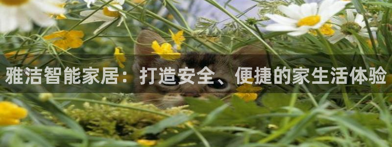 富联娱乐分红怎么样：雅洁智能家居：打造安全、便捷的家生活体验