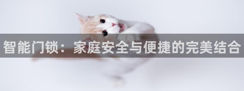 富联娱乐官网首页：智能门锁：家庭安全与便捷的完美结合