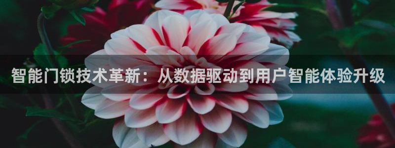 富联娱乐招商测判官333OO：智能门锁技术革新：从数据驱动到
