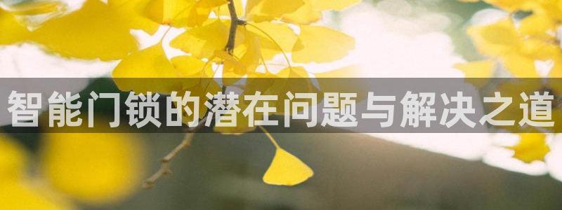 富联2娱乐查判官333OO：智能门锁的潜在问题与解决之道