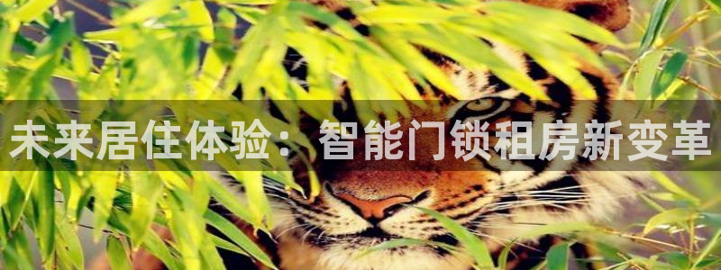 富联娱乐乙67OO6：未来居住体验：智能门锁租房新变革