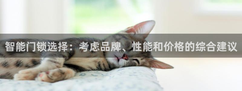 富联娱乐怎么样可靠吗：智能门锁选择：考虑品牌、性能和价格的综