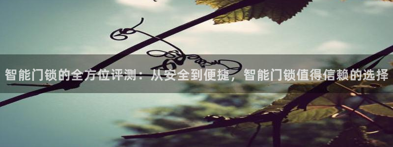 富联娱乐注册同听判官333OO：智能门锁的全方位评测：从安全