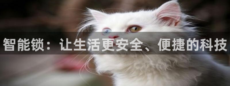 富联娱乐登录链接在哪找：智能锁：让生活更安全、便捷的科技