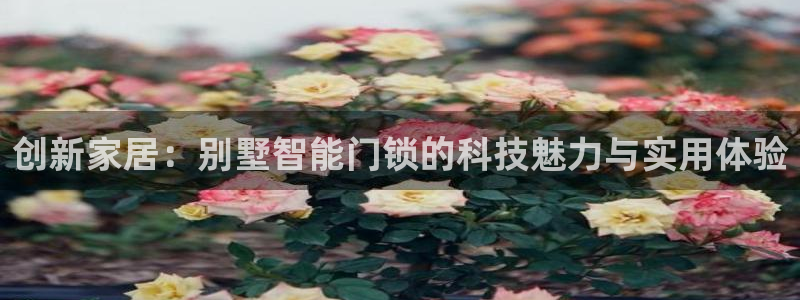 富联娱乐：创新家居：别墅智能门锁的科技魅力与实用体验