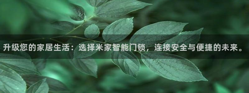 富联娱乐代理怎么样做：升级您的家居生活：选择米家智能门锁，连