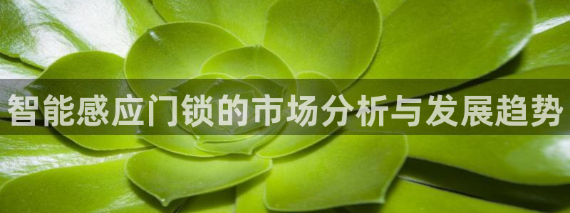 富联2娱乐首页网址大全：智能感应门锁的市场分析与发展趋势