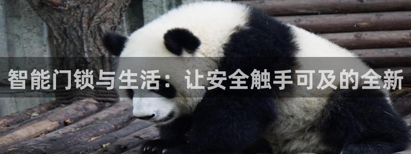 联富花园团购休闲娱乐：智能门锁与生活：让安全触手可及的全新