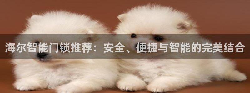 富联娱乐注册地址查询：海尔智能门锁推荐：安全、便捷与智能的完